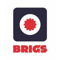 BRIGS logo