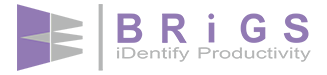 Brigs Espro company logo